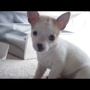 Meet your Posher, Kristina